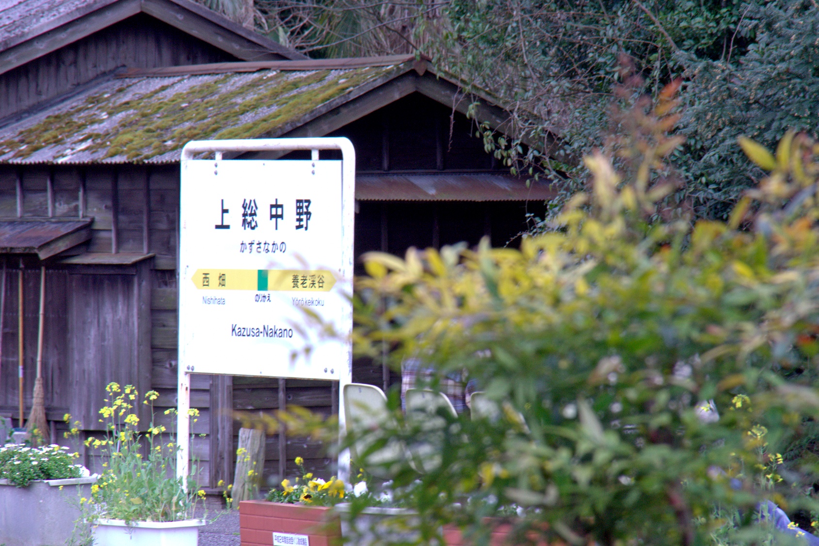 画像7