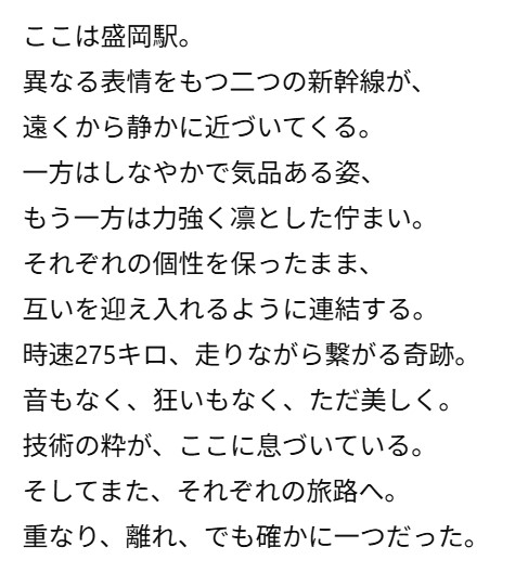 説明画像2