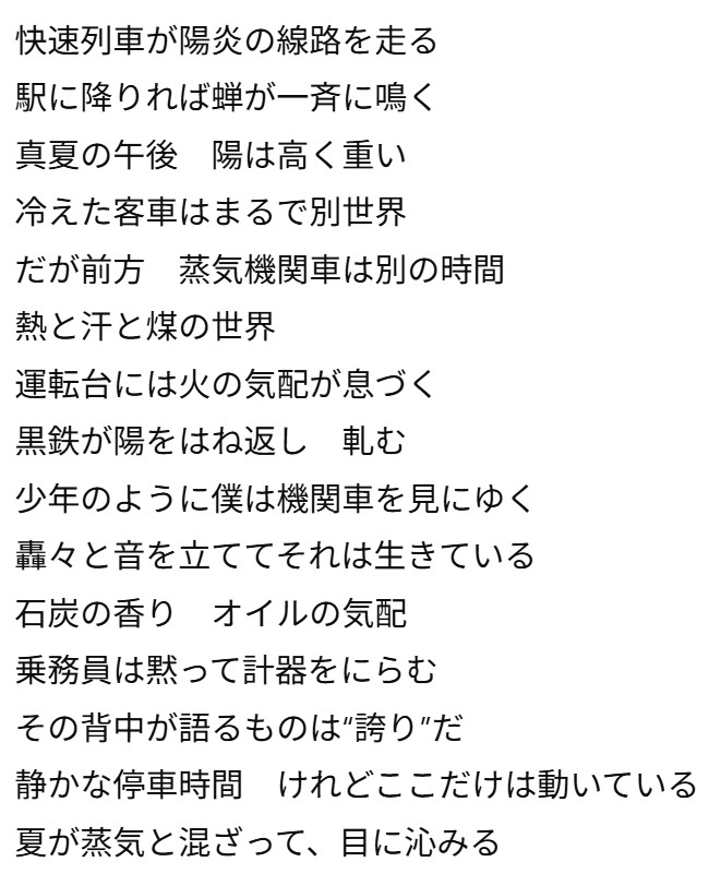 画像12