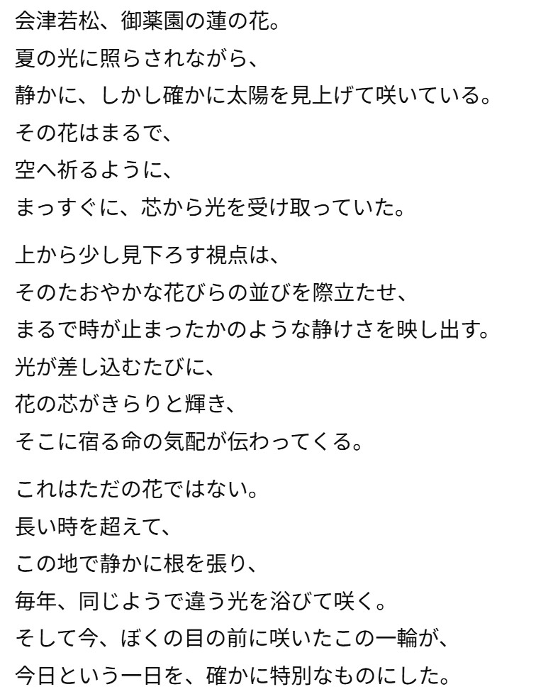画像12
