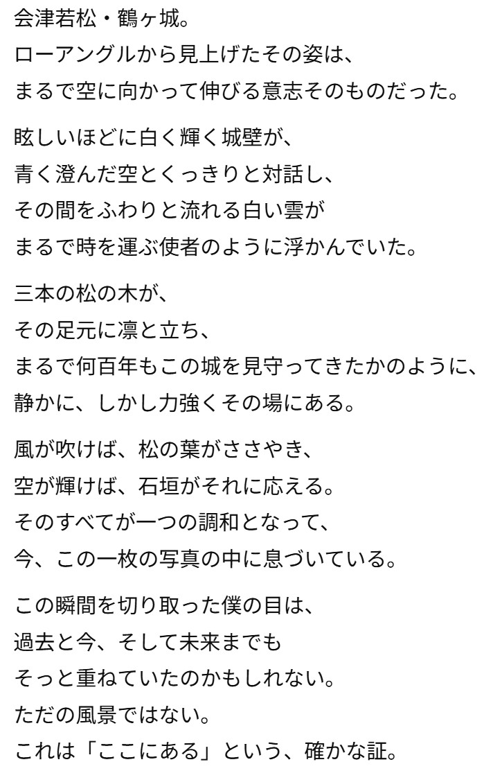 画像12