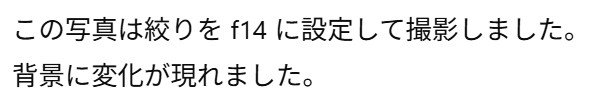 画像3.5