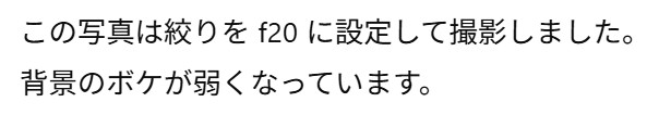 画像4.5