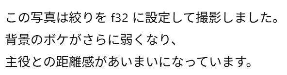 画像2.5