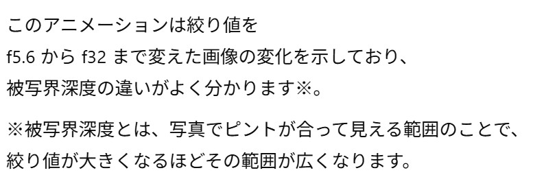 画像2.5