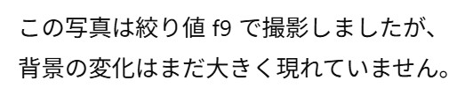 画像2.5