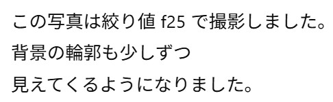 画像5.5