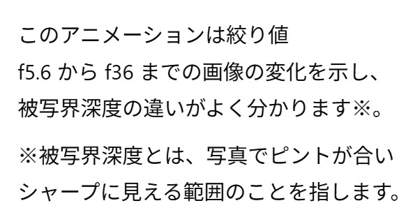 画像7.5